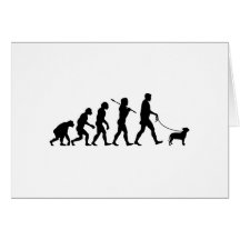 Staffordshire Bull Terrier Greeting Cards