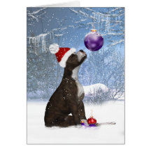 Staffordshire bull terrier puppy, holiday Card