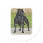Staffordshire Bull Terrier stickers