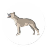 Staffordshire Bull Terrier Stickers