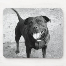 Staffordshire MouseMat