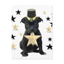 Stafforfshire bull terrier puppy postcard