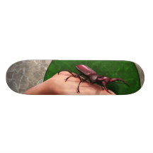 Stag Beetle On Hand Skateboards