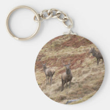 Stag Deers In Glencoe Key Chain