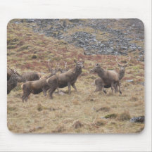 Stag Deers In Glencoe Mouse Pads