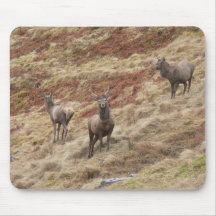 Stag Deers In Glencoe Mousepad