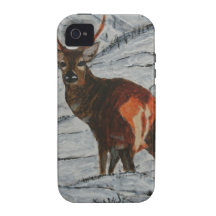 Stag in winter iPhone 4 cases