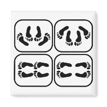 Stages of Marriage Fridge Magnet