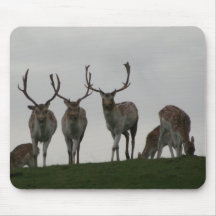 Stags Mouse Mats