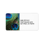 Stained Glass Blue Peacock Address Labels