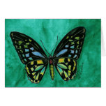 Stained Glass Butterfly Notecard