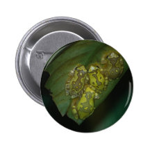 Stained Glass Tree Frogs Pinback Buttons