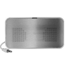 Stainless Steel Metal Look Travelling Speaker