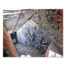Stairs At The Old LA Zoo Photo
