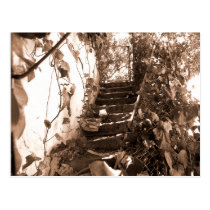 Stairs postcards