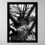 Stairway to Heaven posters