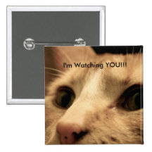 Stalker cat is watching your every move. pinback buttons