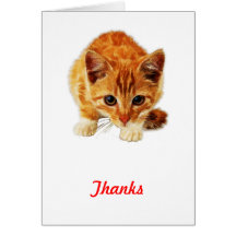 Stalking Kitten Staring at You Card