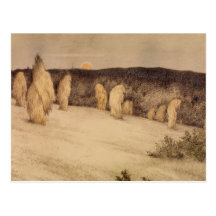 Stalks of Grain in Moonlight Postcard