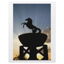 stallion letterhead