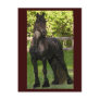 Stallion Painting Postcards