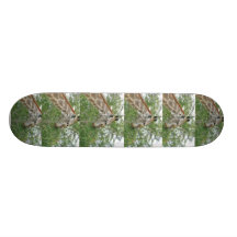 Stand Tall.  Aim High Giraffe Skateboard
