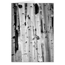 Stand tall Aspen's Card