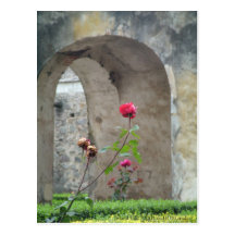 Stand Tall Postcard