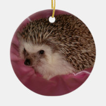 Standard hedgehog ornament