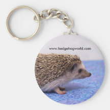 standard keychain