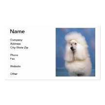 Standard Poodle Business Cards