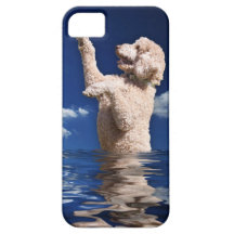 Standard Poodle Reflections iPhone 5 Cases