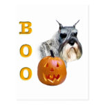 Standard Schnauzer Boo Post Cards