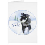 Standard Schnauzer Noel Cards