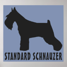 Standard Schnauzer Posters