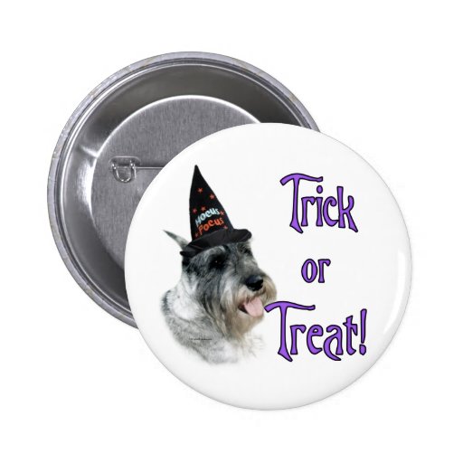 Standard Schnauzer Trick Pin