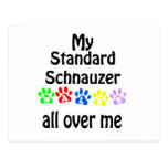 Standard Schnauzer Walks Design Post Cards