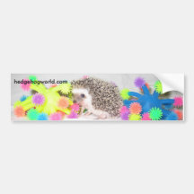 Standard with colours bumper bumper sticker