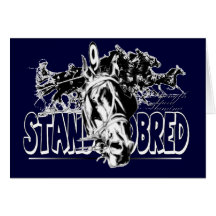 Standardbred Racing Cards