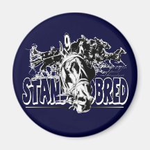 Standardbred Racing Fridge Magnets