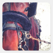 Standardbred Stickers