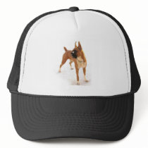 Standing fawn boxer hat