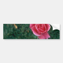 Standing For Love Bumper Sticker