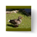 Standing Goose Button