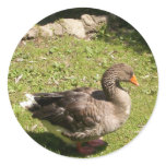 Standing Goose Stickers