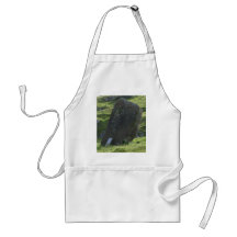 Standing Stone Apron