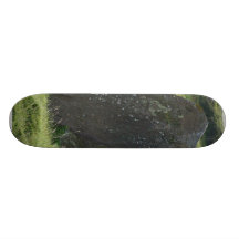 Standing Stone Skateboard