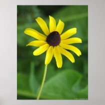 Standing Tall Posters