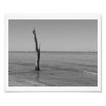 Stands Alone Photo Art