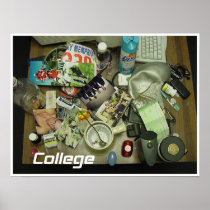 Stanford the College Poster